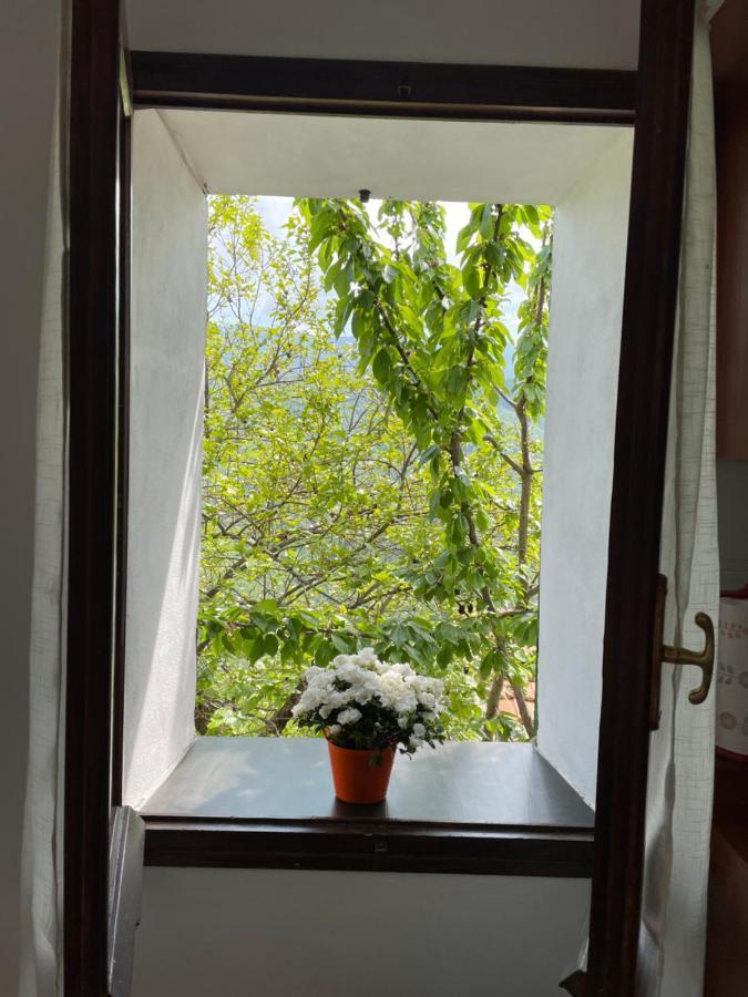 Apartamento Casa di nonno Memé CITRA 008035-LT-0018 Andagna Exterior foto